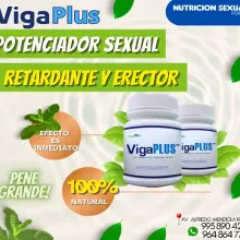 VIGAPLUS INGREDIENTE NATURAL-POTENCIA RETARDA PN GRANDE 9938904298